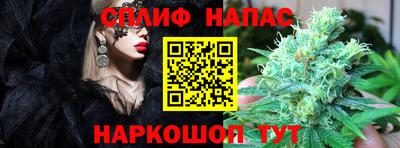 PSILOCYBIN Краснознаменск